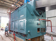 DZL biomass coal fired boiler