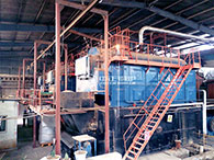 coal steam boiler for food plant