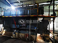 dzl biomass coal fired boiler