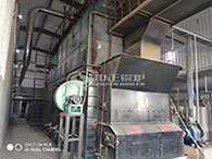 dzl biomass fired boilers site