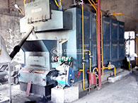 dzl coal fired boiler