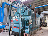 dzl low pressure bioamss boiler