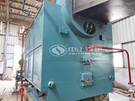 eco-friendly biomass fired boiler