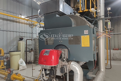 wns gas oil fired steam boiler