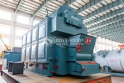 DZL coal biomass fired boiler