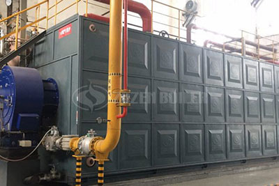 20 Tons Gas Fired Boiler for Paper Mill