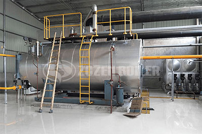 2tph Condensing Gas Steam Boiler for Chemical Plant