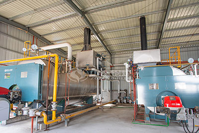 Gas Boiler Manufacturer in Food Industry