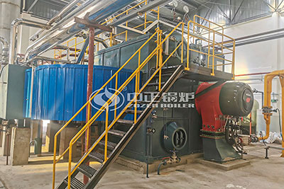 16 Ton Gas-fired Boiler for Chemical Plant