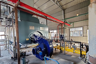 3ton gas steam boiler