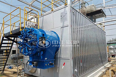 Philippines 20 Tons Gas Steam Boilers Sales