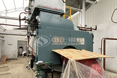 5 Tons Gas Steam Boiler Sales in Bangladesh