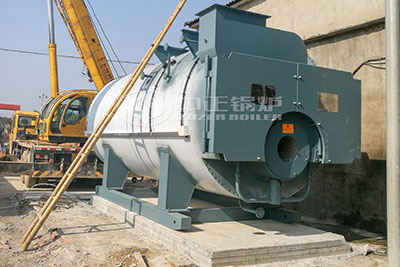 6 Tons Condensing Gas Boiler in Egypt