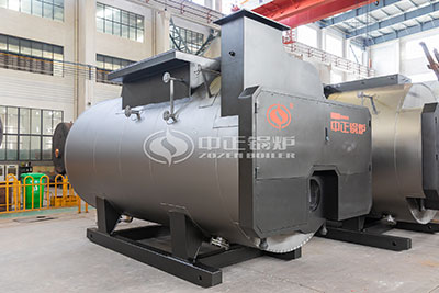 15 Tons Gas Fired Steam Boilers Singapore