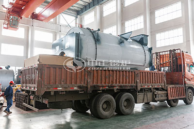 Efficiency Biogas Fired Boiler Manufacturers