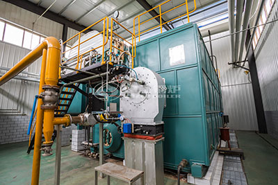 Energy-efficient 20 Tons Gas Boiler for Chemical Industry