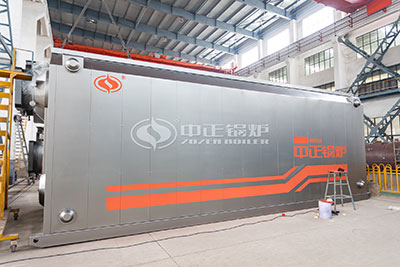 10 Ton/hr Gas Steam Boiler for Pharmaceutical Factory