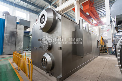 Gas Fired Hot Water Boiler Supplier