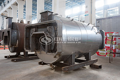 WNS Gas Steam Boilers Sales in Indonesia