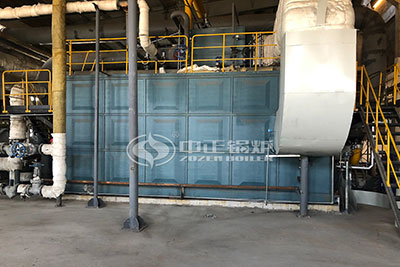 10 Tons Gas Boiler in Turkey