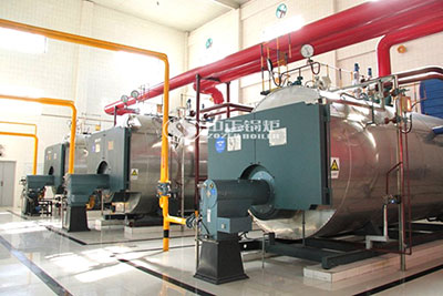 Gas Boilers Used in Food Industry