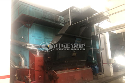 Coal Boiler Supplier in Malaysia