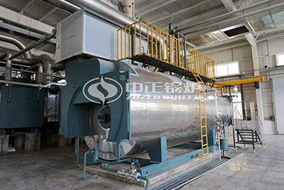 Gas Steam Boiler Philippine Manufacturer