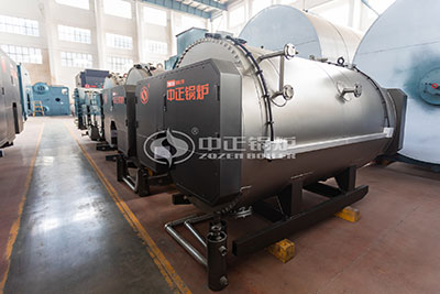 Gas Fired Boiler Manufacturer