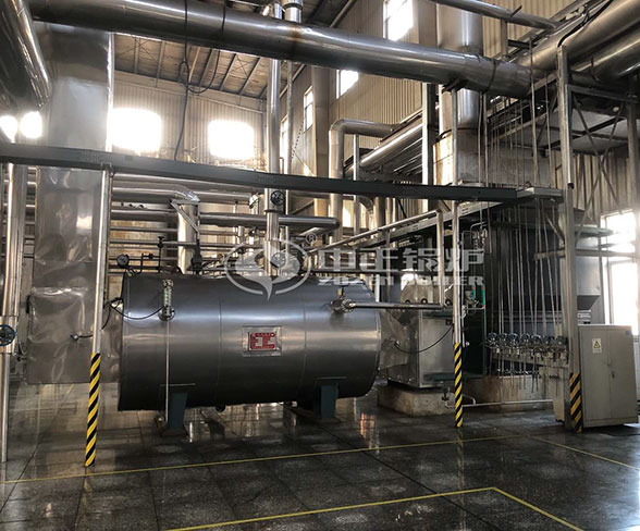 3200LBS Gas Fire Tube Boiler