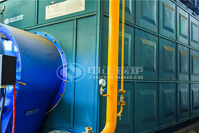 35 Ton Gas Steam Boiler Used in Dyeing Industry