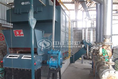 4 Ton DZL Biomass Pellets Steam Boiler