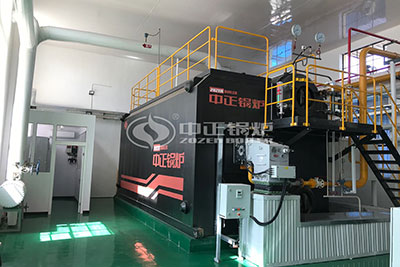 Eco-friendly Gas Steam Boiler for Paper Industry