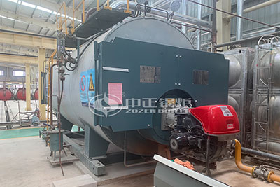 3 Ton Gas Steam Boiler for Chemical Industry