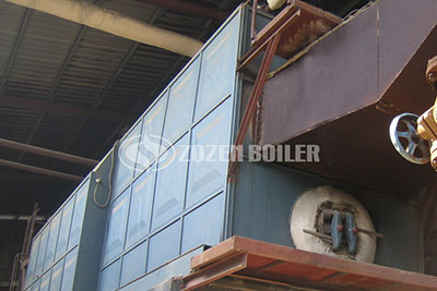 15 TPH Coal Fired Boiler for Philippines Food Industry