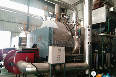 6 TPH Gas Steam Boiler for Feed Mill