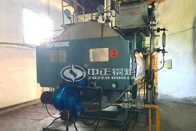 2 Ton Condensing Gas Steam Boiler for Feed Industry