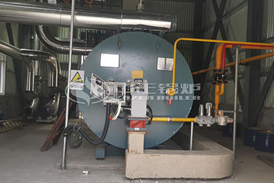 1.6 Million Kcal Gas Thermic Fluid Heater for Chemical Mill