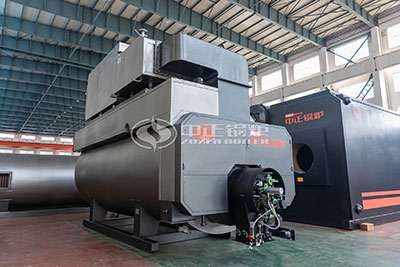 Industrial Gas Steam Boilers Manufacturer