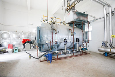 2 Ton Capacity High Efficiency Gas Steam Boiler