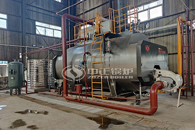 6 Ton and 10 Ton Gas Steam Boiler in Pharmaceutical Industry