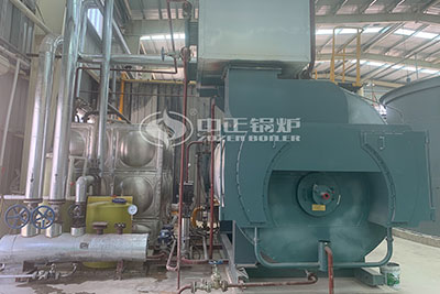 10 TPH Natural Gas Steam Boiler for Chemical Industry