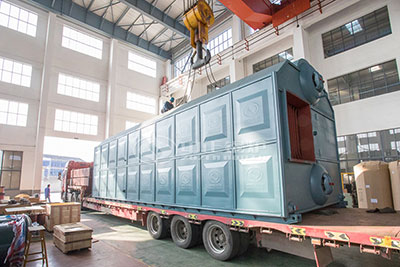 Paper Factory 20 Ton Coal Chain Grate Steam Boiler