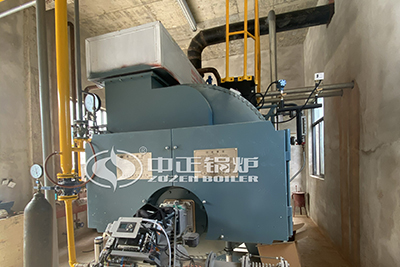 Biogas Fired 2 Tph Steam Boiler