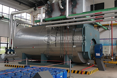 20 Ton Gas Boiler for Sugar Factory