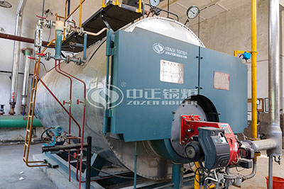 4 Ton Oil Gas Steam Boiler for Package Industry