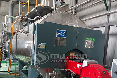 Packing Plant 2 Ton Gas Boiler