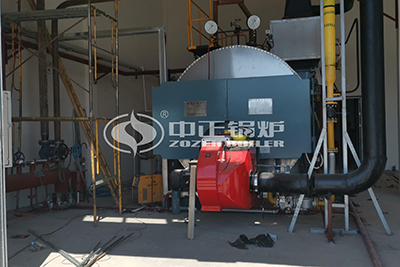 4 Ton/hr Gas Steam Boiler in Pharmaceutical Factory