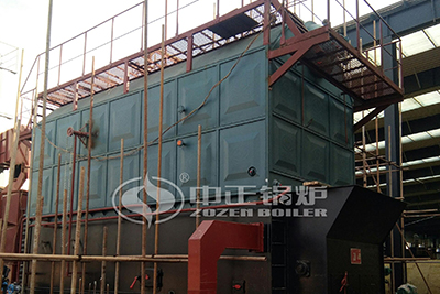 Biomass Fuels Hot Water Boiler in Paper Factory