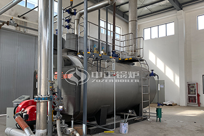 Turkey Gas Fuel Steam Boiler for Sugar Industry