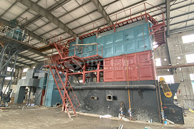 Steam Boiler on Biomass Pellet Food Processing